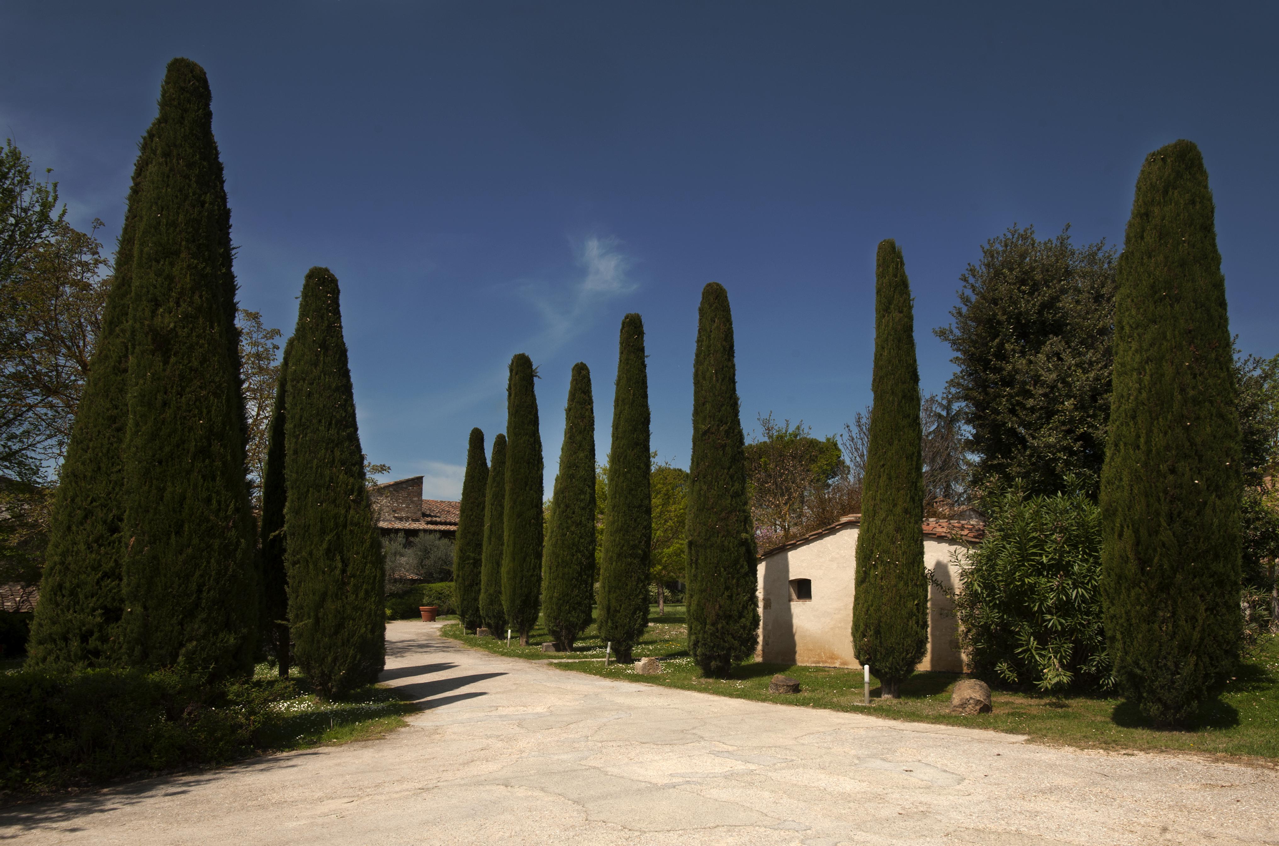 Relais Della Rovere Colle di Val d'Elsa Exterior foto